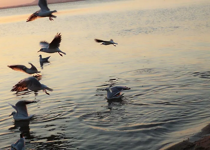 Apartamento El Remanso La Manga del Mar Menor